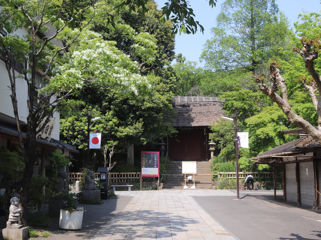 Jindai-ji Temple Sammon Gate-调布市必去景点