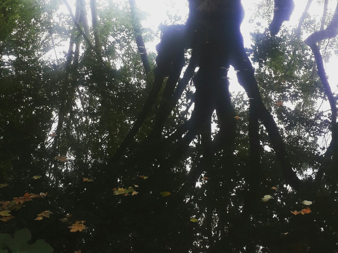 Saroz Korfezi-Edirne必去景点