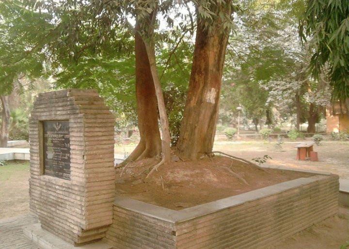 Chandrashekhar Azad Park景点图片