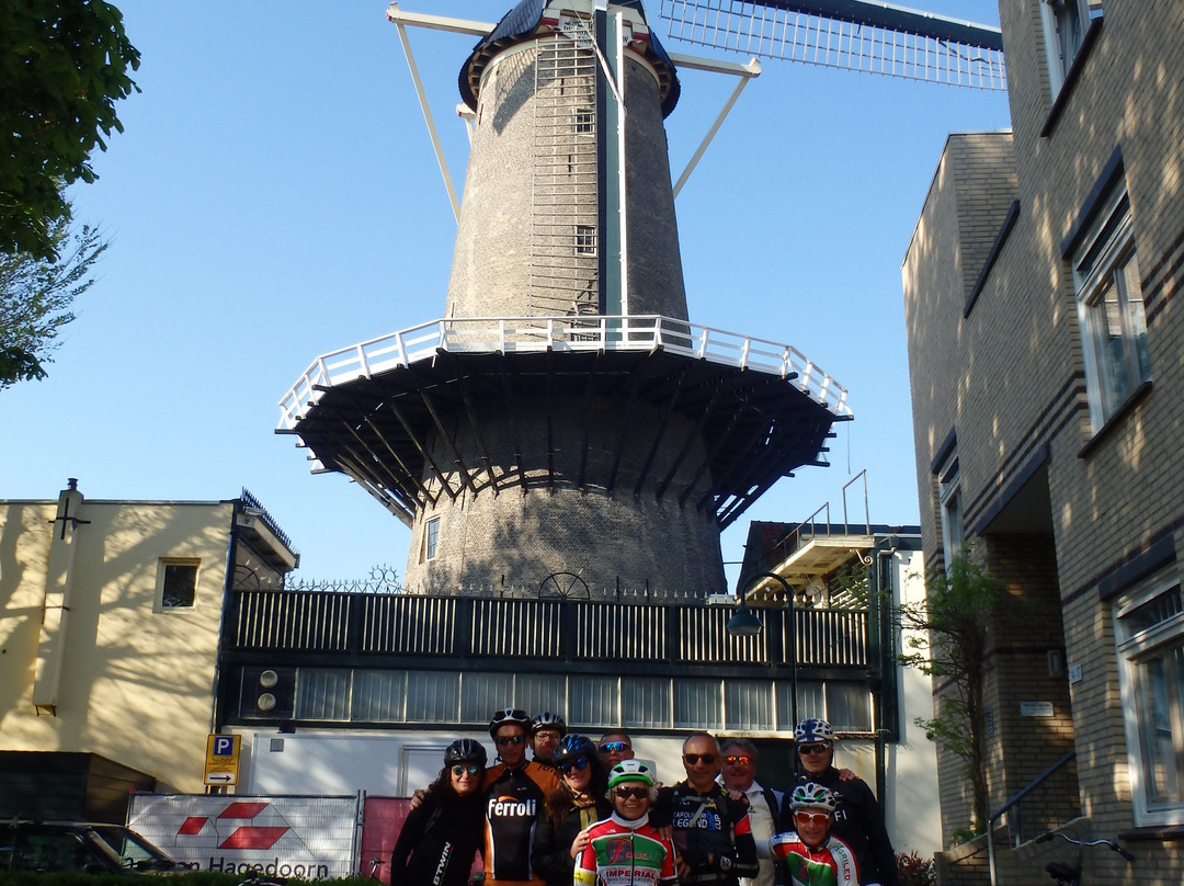 Red Lion Windmill (Molen De Roode Leeuw)景点图片