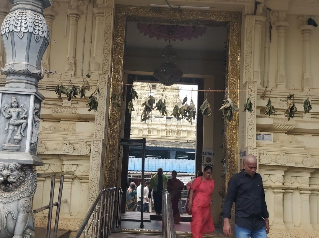 Dwaraka Tirumala Temple景点图片