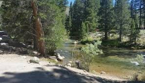 Robinson Creek South Campground