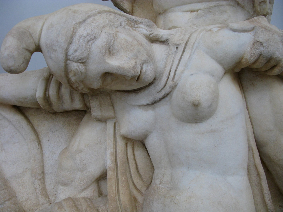 Afrodisias Museum景点图片