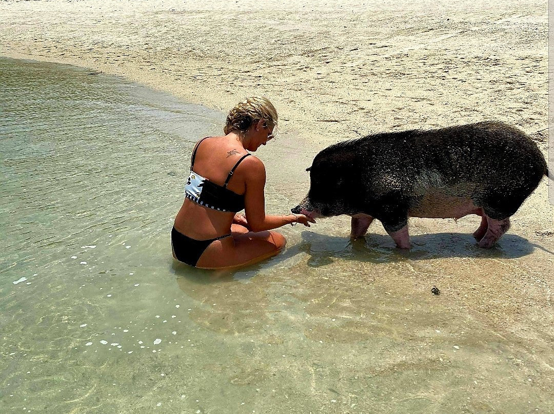 Tour Explore-马叻必去景点