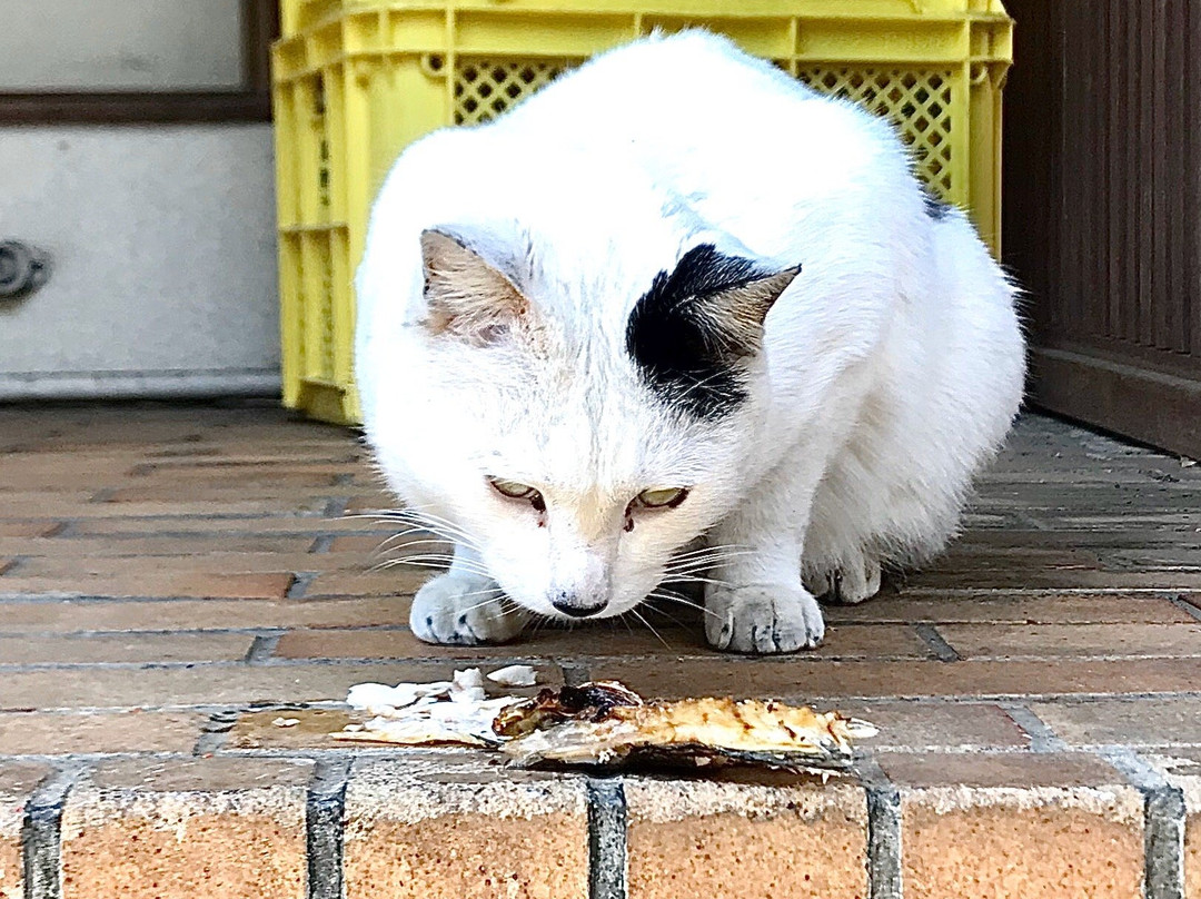 Iwamotoro Honkan主图