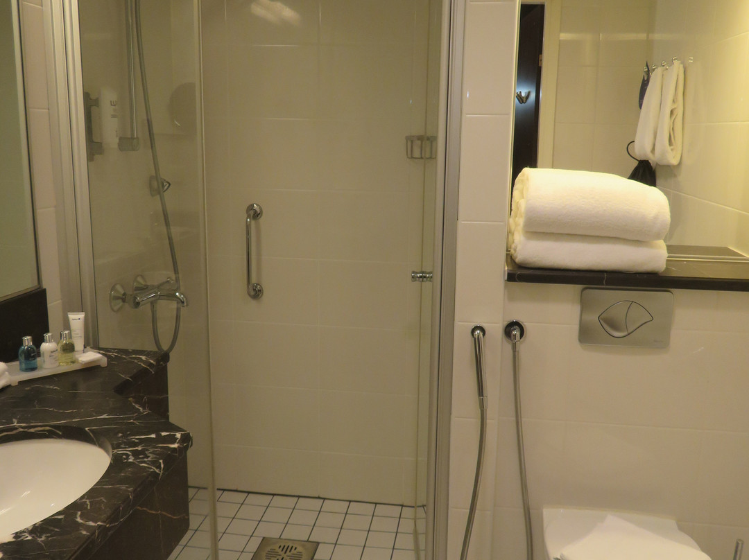 Radisson Blu Marina Palace Hotel, Turku主图