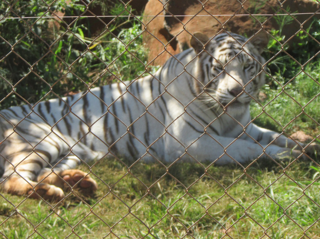 Akwaaba Predator Park-鲁斯登堡必去景点
