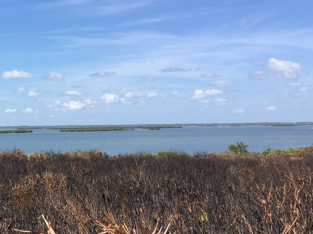 Canaveral National Seashore景点图片