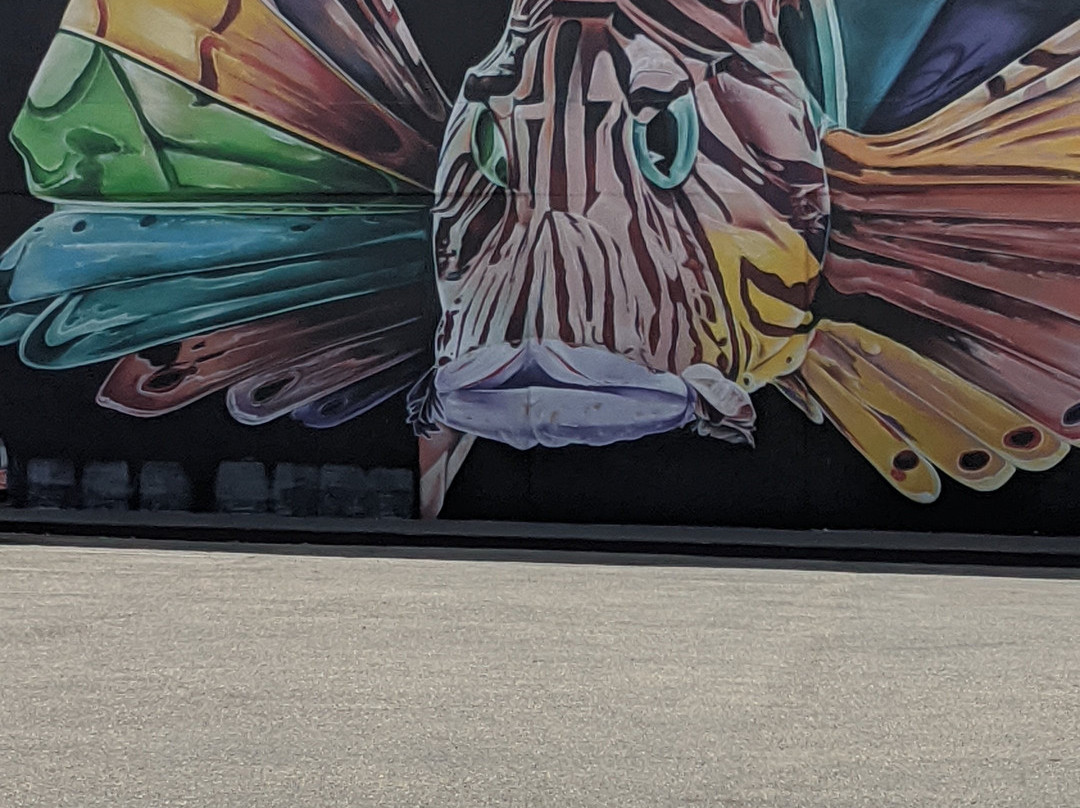 Street Murals By Aruba Art Fair-San Nicolas必去景点