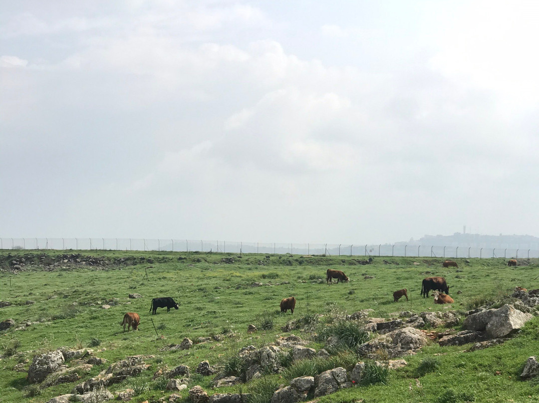 Mount Arbel-米格德尔必去景点