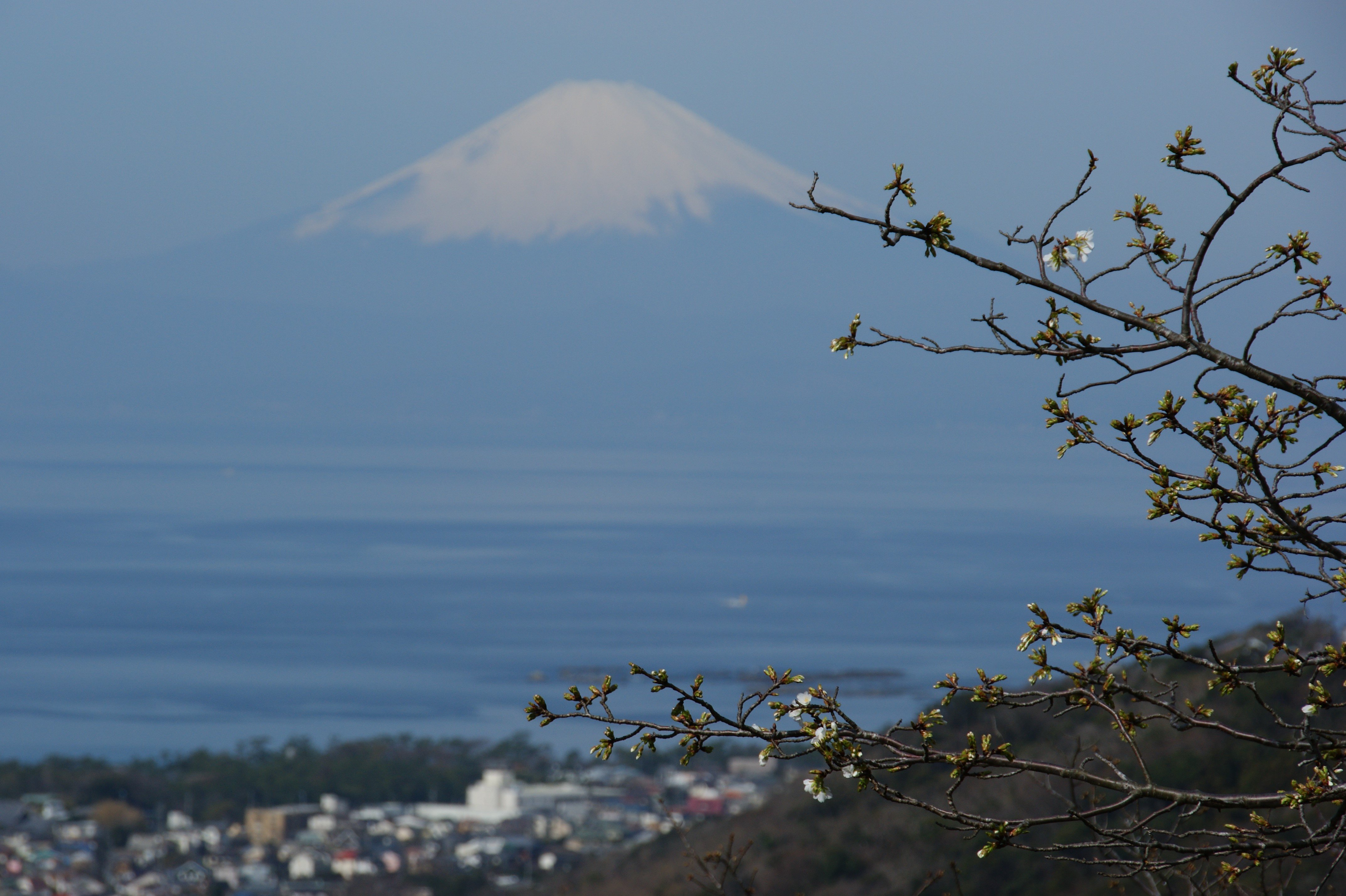Shonan Village Center-官方