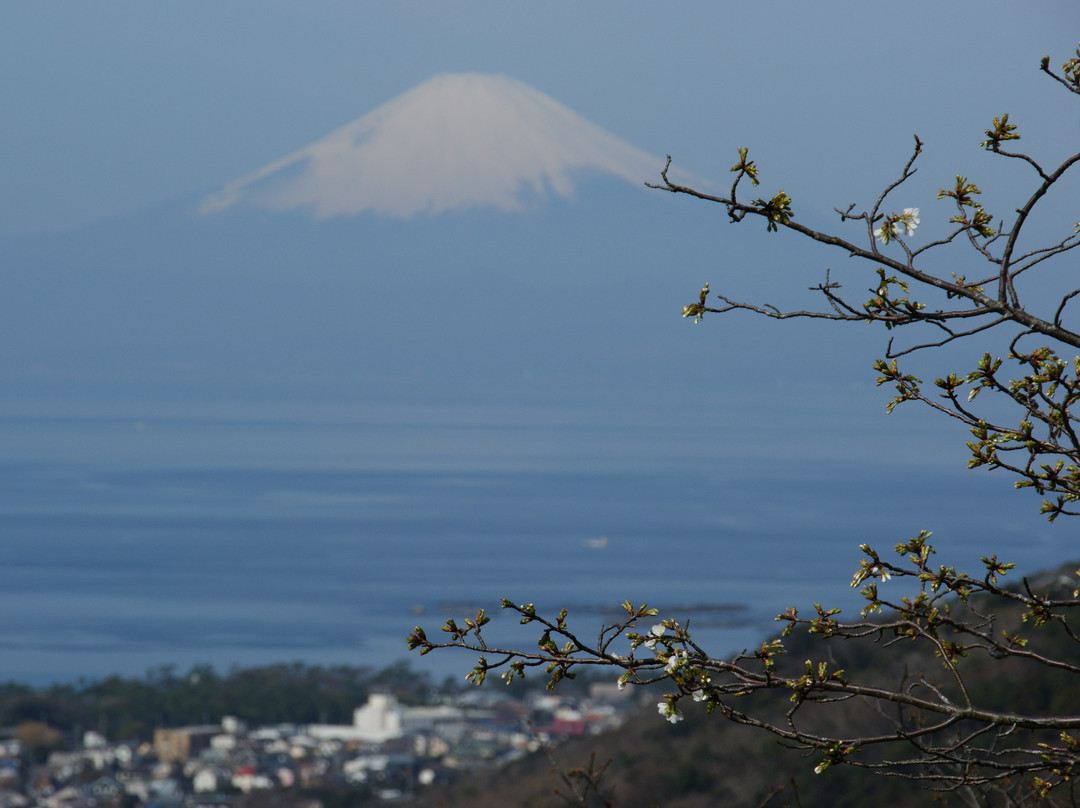 Shonan Village Center主图