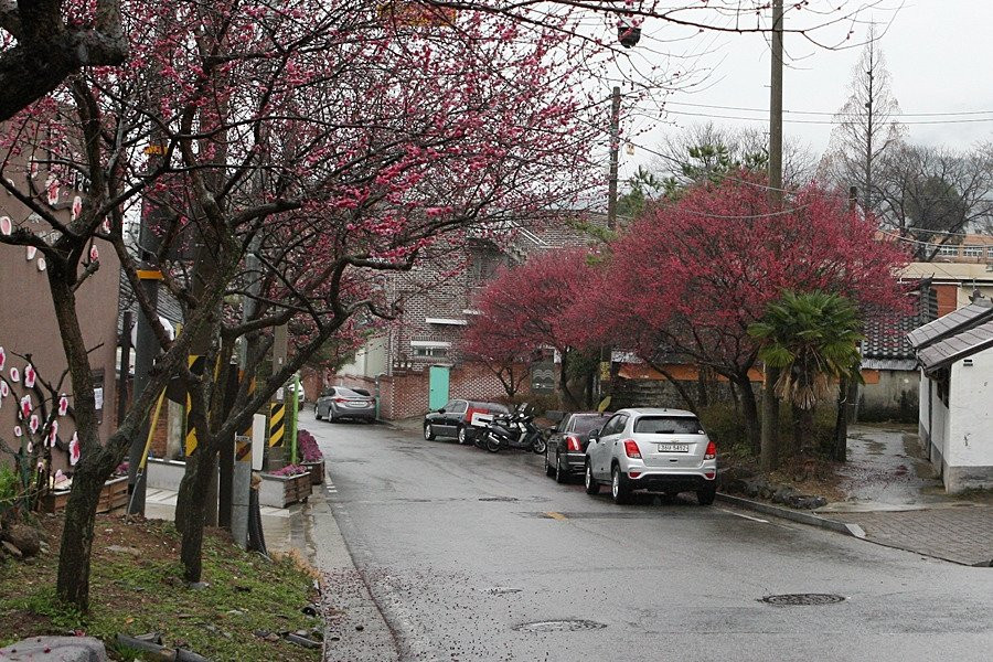 Maegokdong Tammae Village-顺天市必去景点
