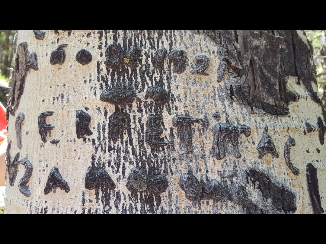 Mount Taylor-Grants必去景点