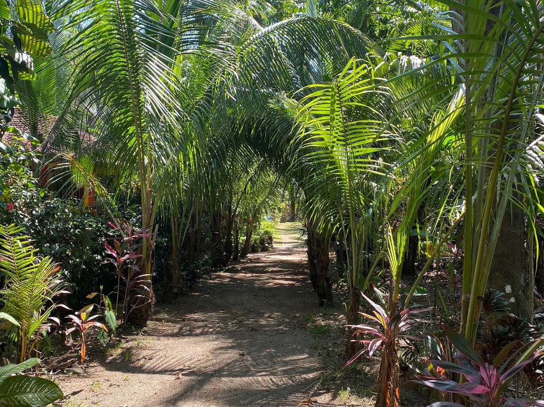 La Palapa Eco Lodge Resort主图