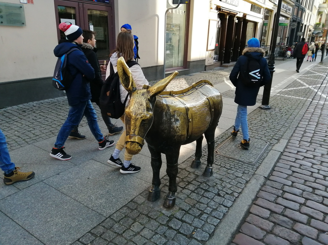 Monument to Donkey景点图片