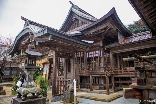 Tashima Shrine景点图片