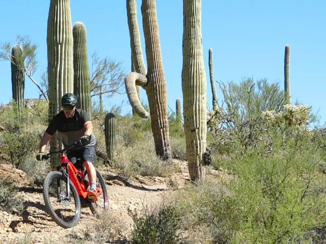 E-migos Electric Mountain Bike Tours-凤凰城必去景点