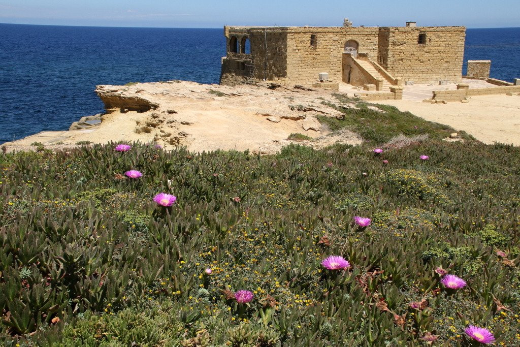 Qolla l-Bajda Battery-Zebbug必去景点