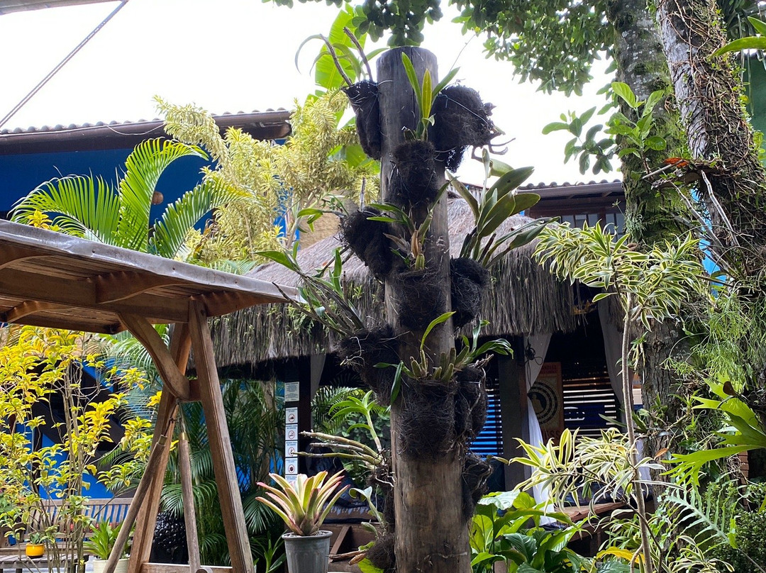 Pousada dos Meros主图