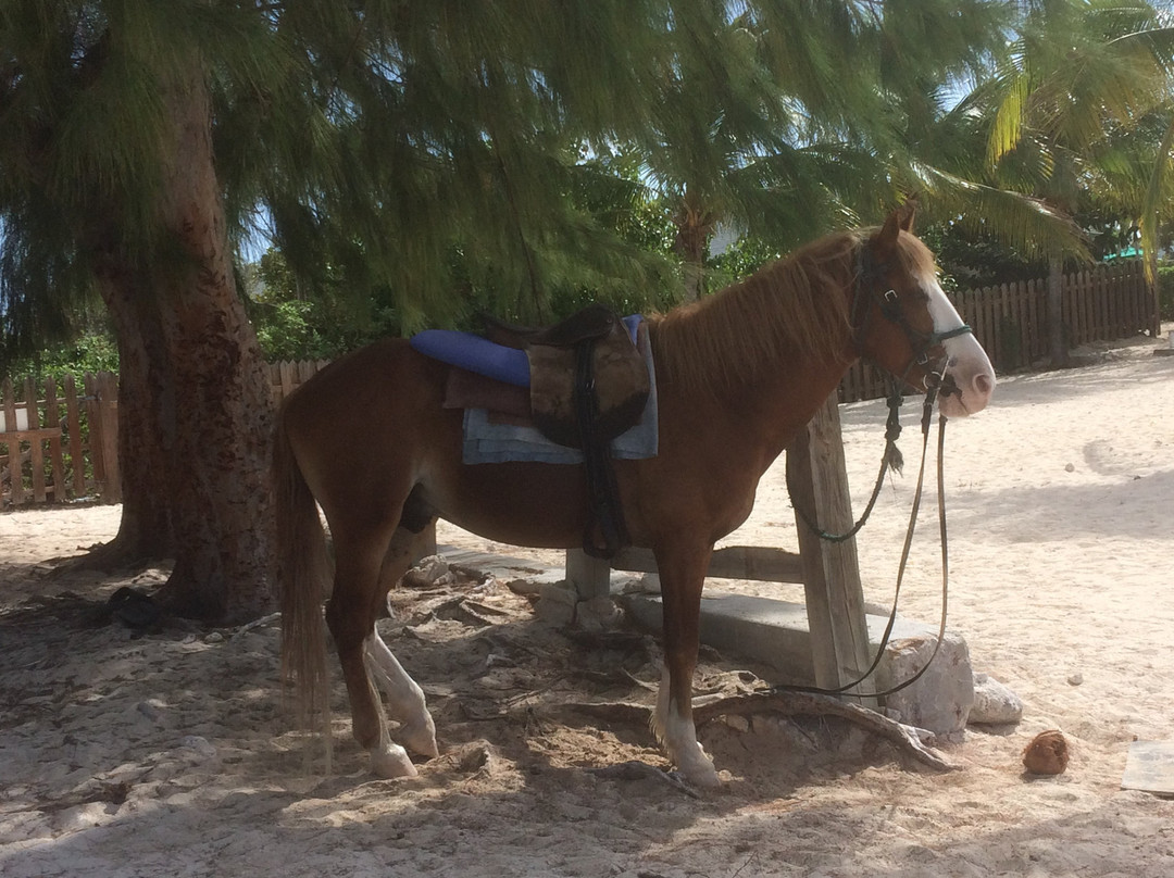 SunRay Beach-Grand Turk必去景点