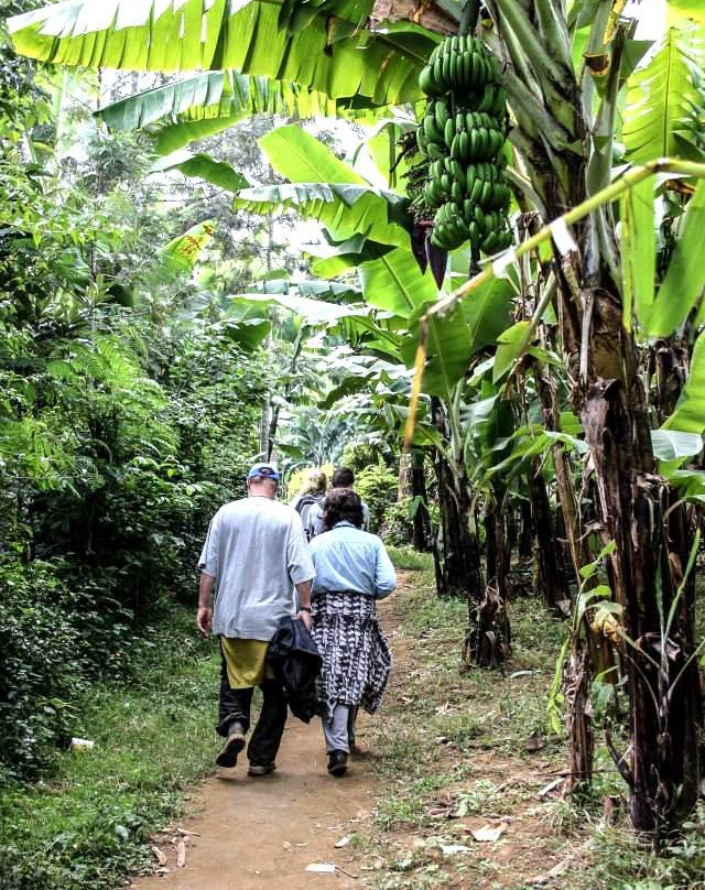 Wild Tracks/Kahawa - Coffee Walks-Usa River必去景点