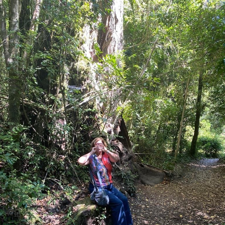 Parque Nacional Puyehue-Puyehue必去景点