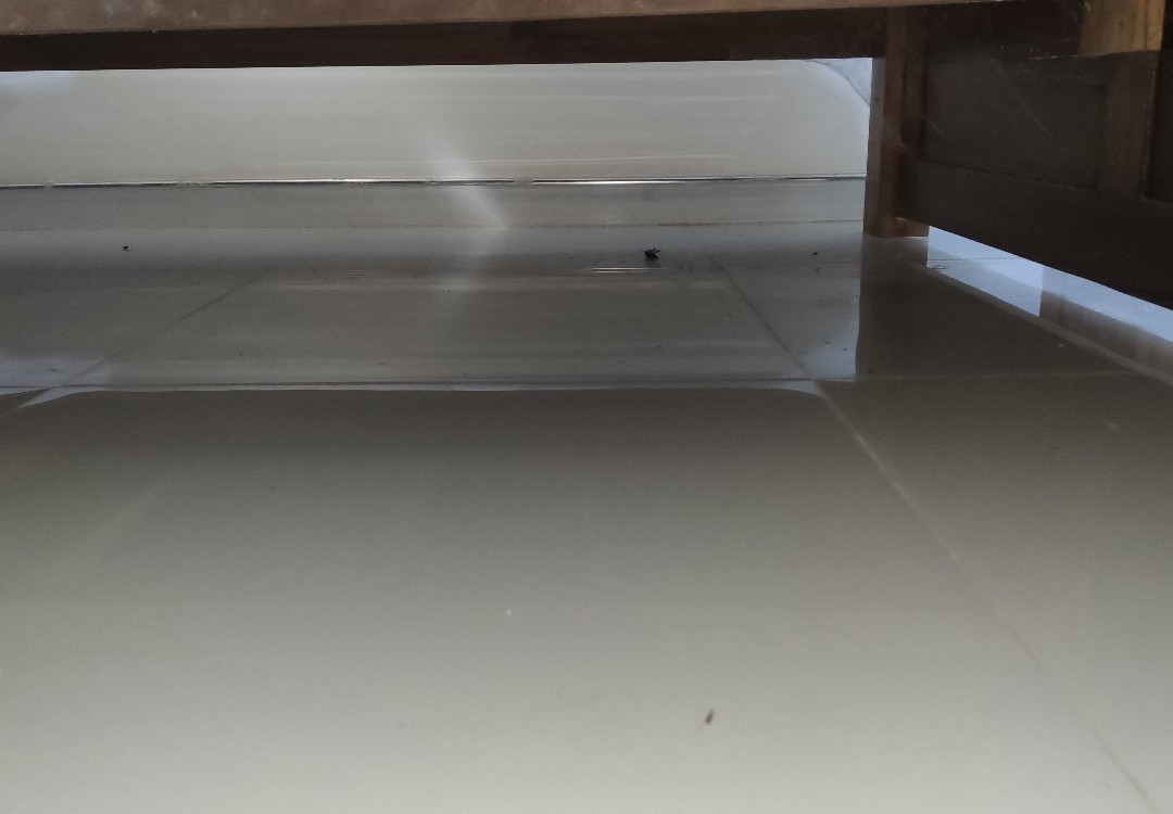 Bindu Homestay主图