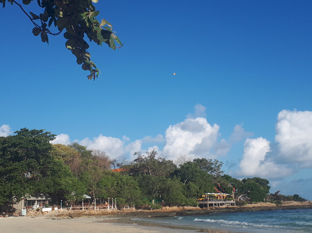 冯迪安度假村主图