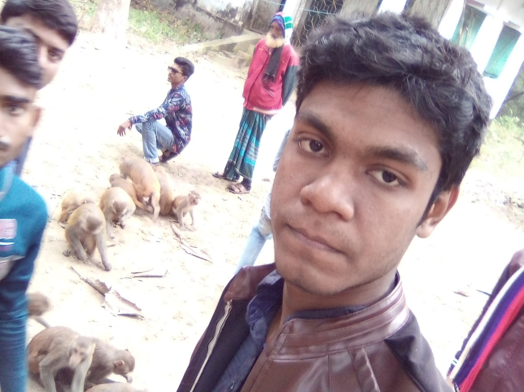 Madhupur National Park景点图片