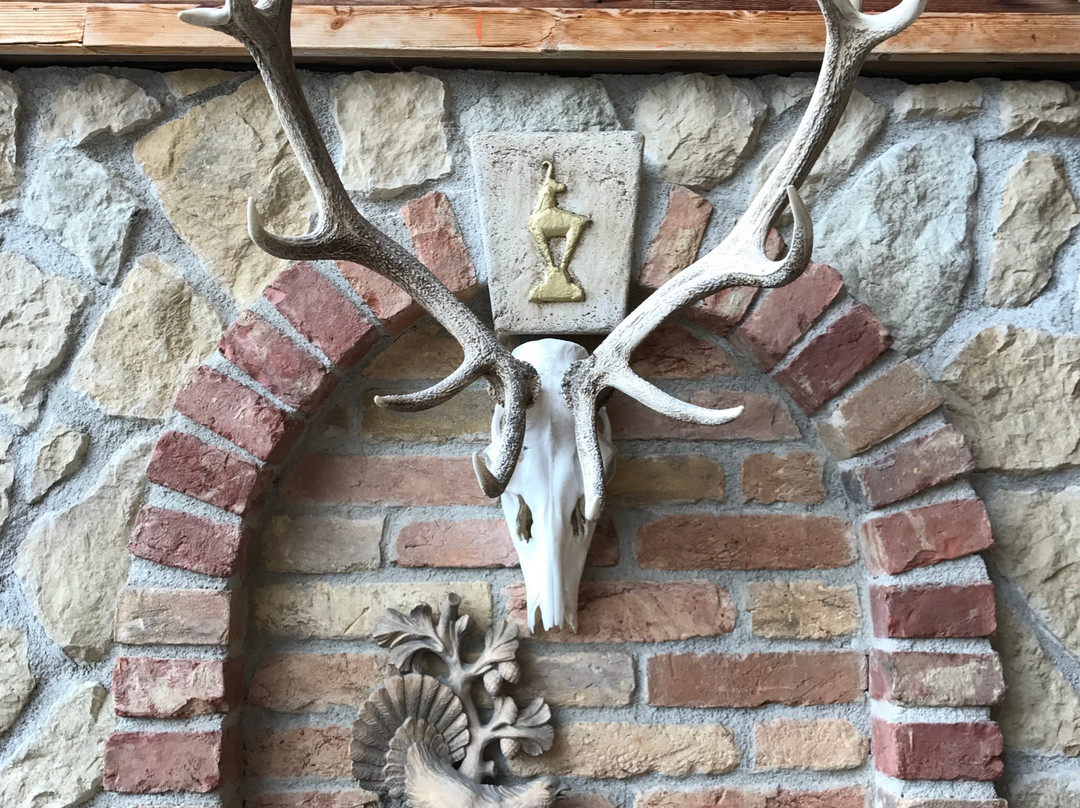 Rosis Sonnbergstuben主图