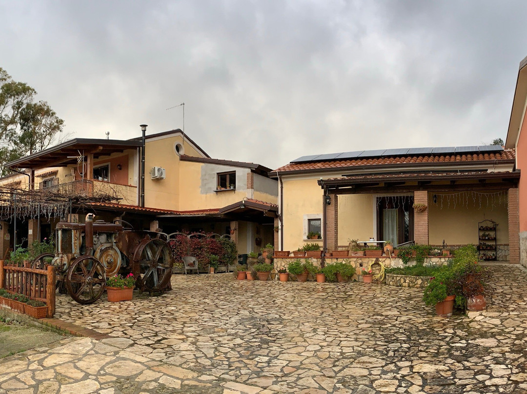 Agriturismo Sorgituro主图