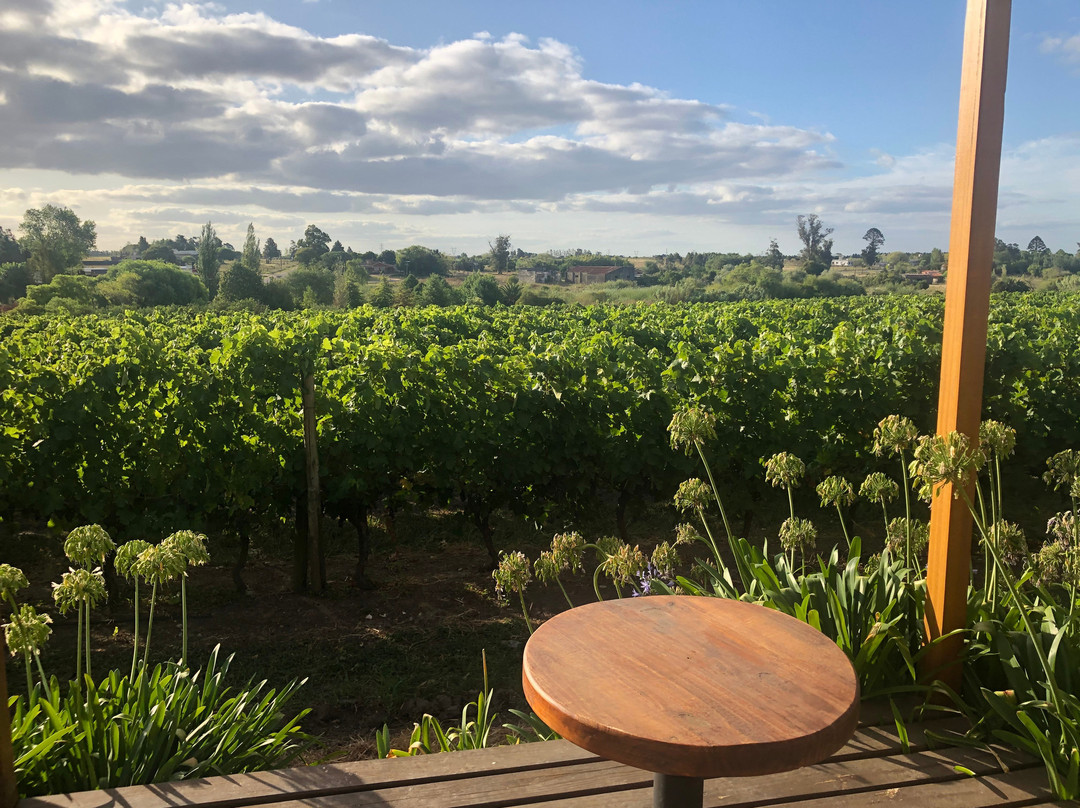 Pizzorno Lodge & Wine主图