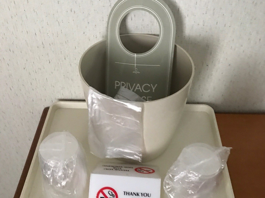 Fontana Village Inn主图