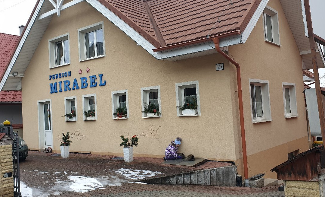 Guesthaus Mirabel主图