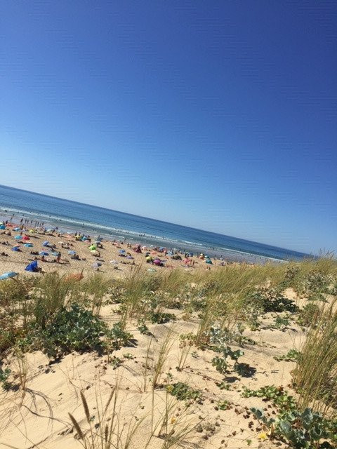 Camping Pleine Foret