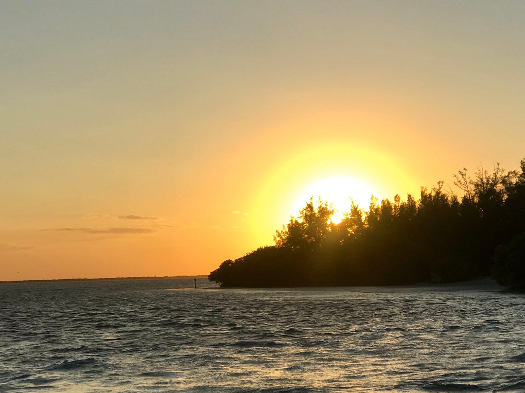 Adventures in Paradise Fort Myers Beach-迈尔斯堡海滩必去景点