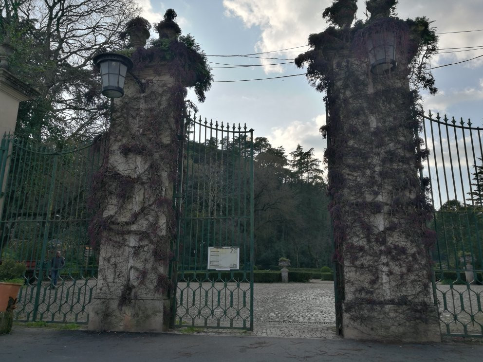 Mata Nacional dos Sete Montes景点图片