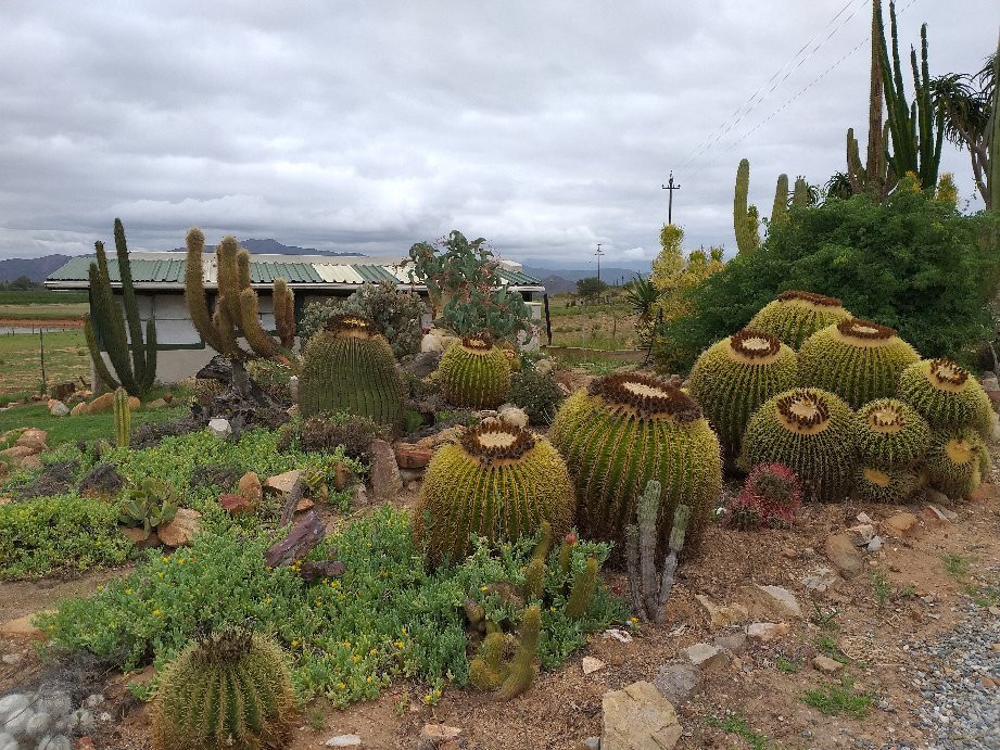 Sheilam Cactus Farm-Robertson必去景点