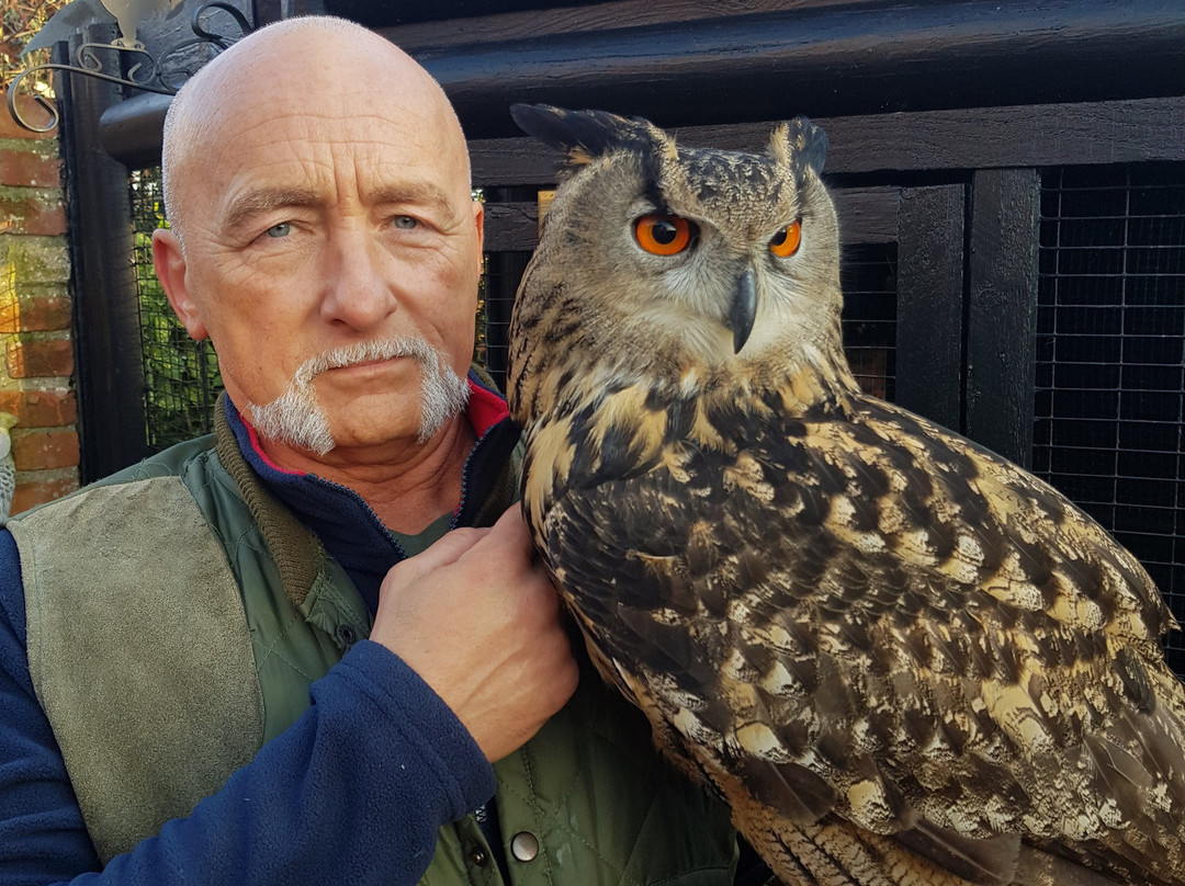 Happisburgh Owls-North Walsham必去景点