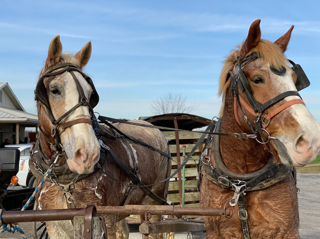 Rabbit Circle-纳什维尔必去景点