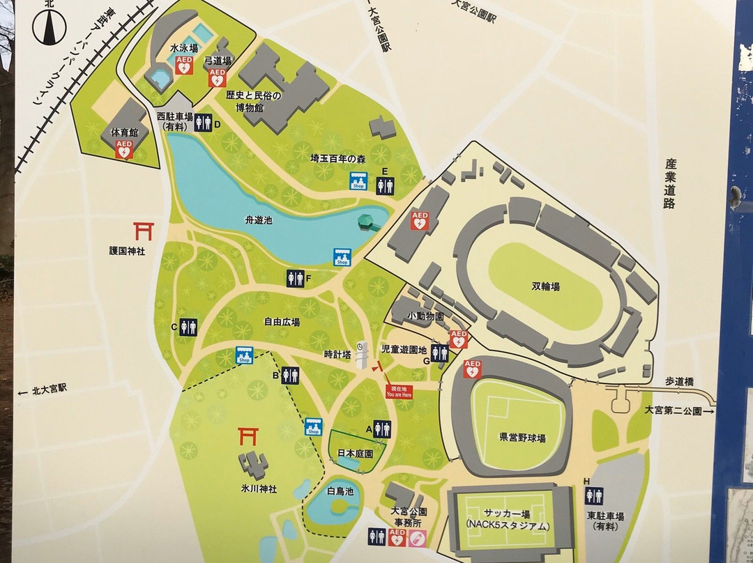 Saitama Prefecture Omiya Park-埼玉市必去景点