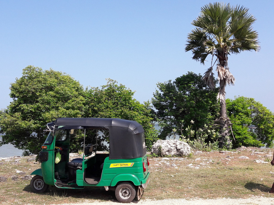 D'Villa Garden House主图