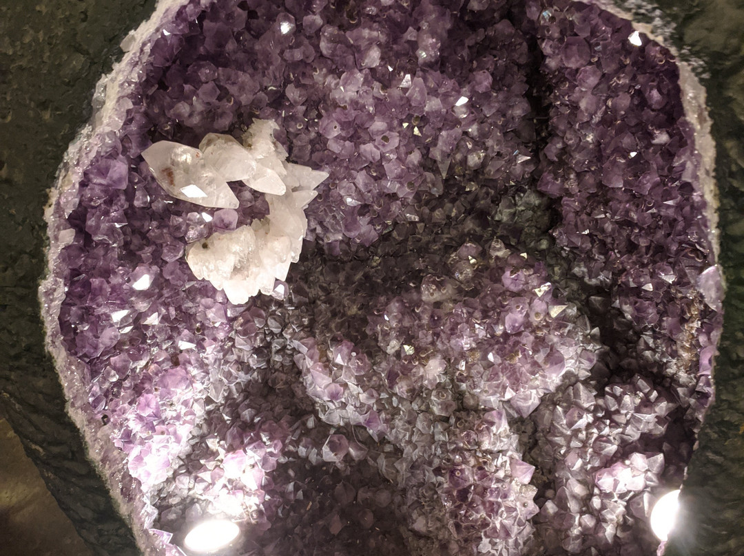 Sidney & Berne Davis Art Center-迈尔斯堡必去景点