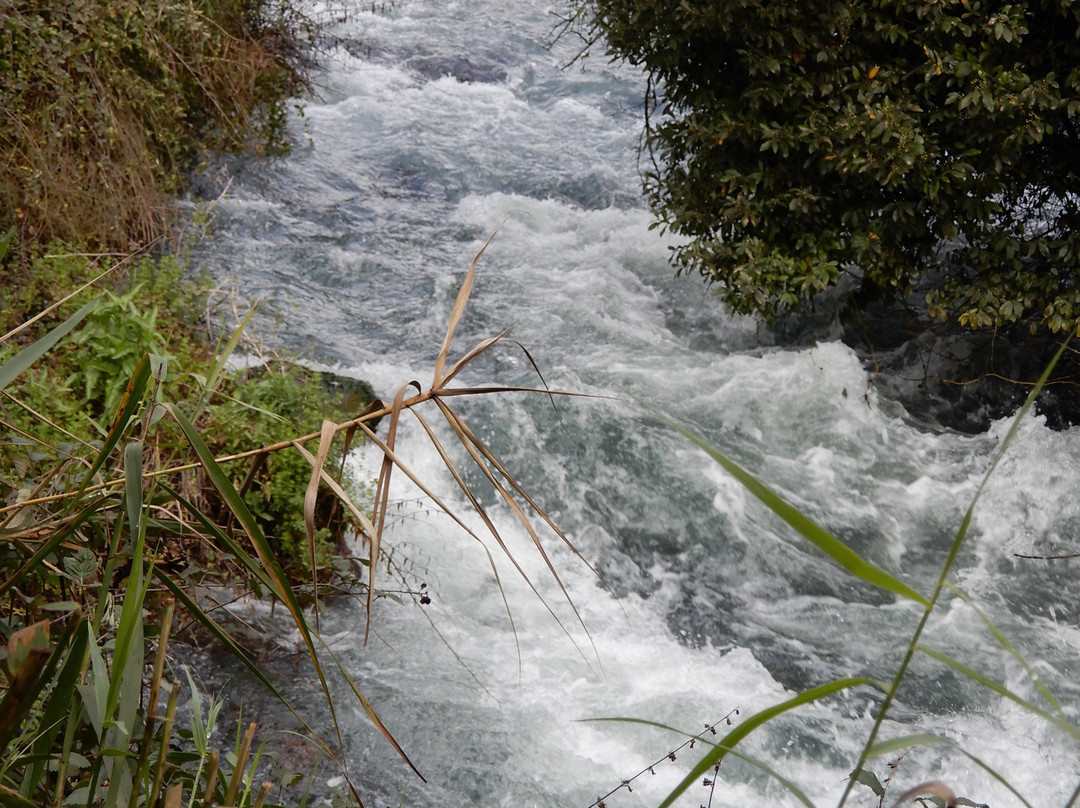 Tel Dan-加利利必去景点
