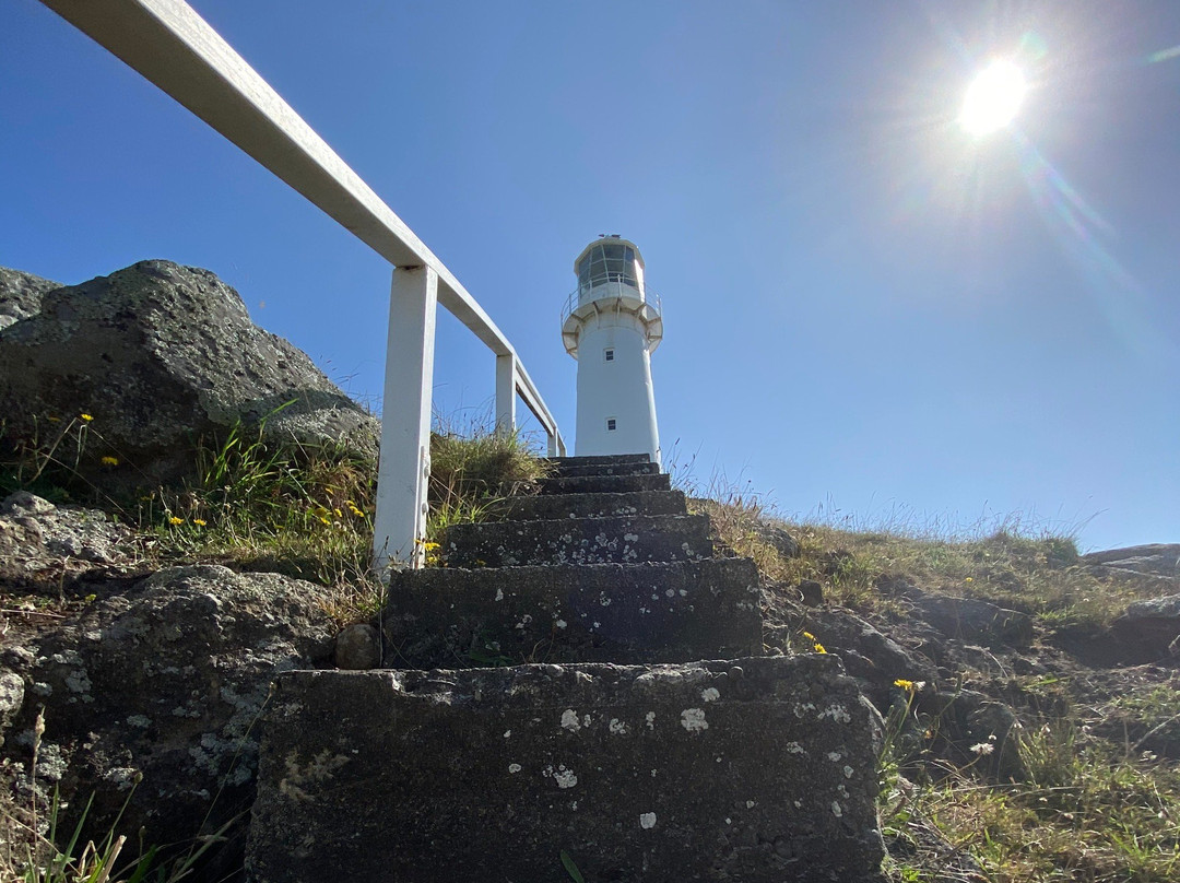 Cape Egmont Lighthouse-Pungarehu必去景点