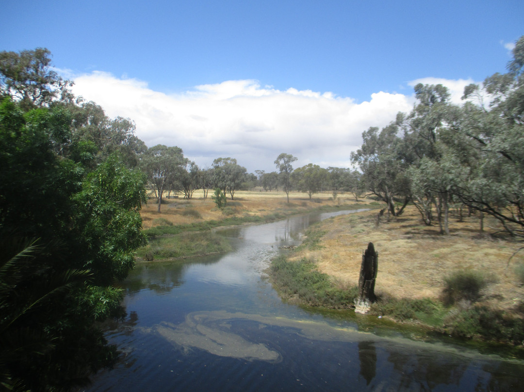 Bullocks Head-Donald必去景点