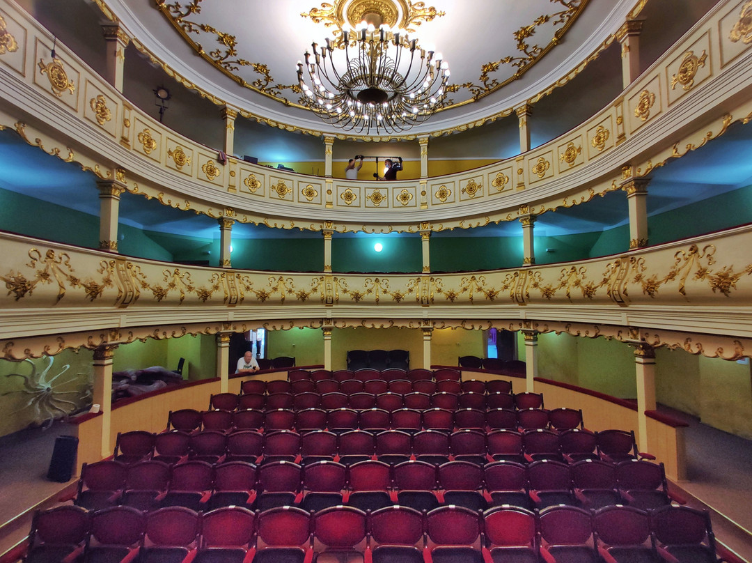 Old Theatre Mihai Eminescu景点图片