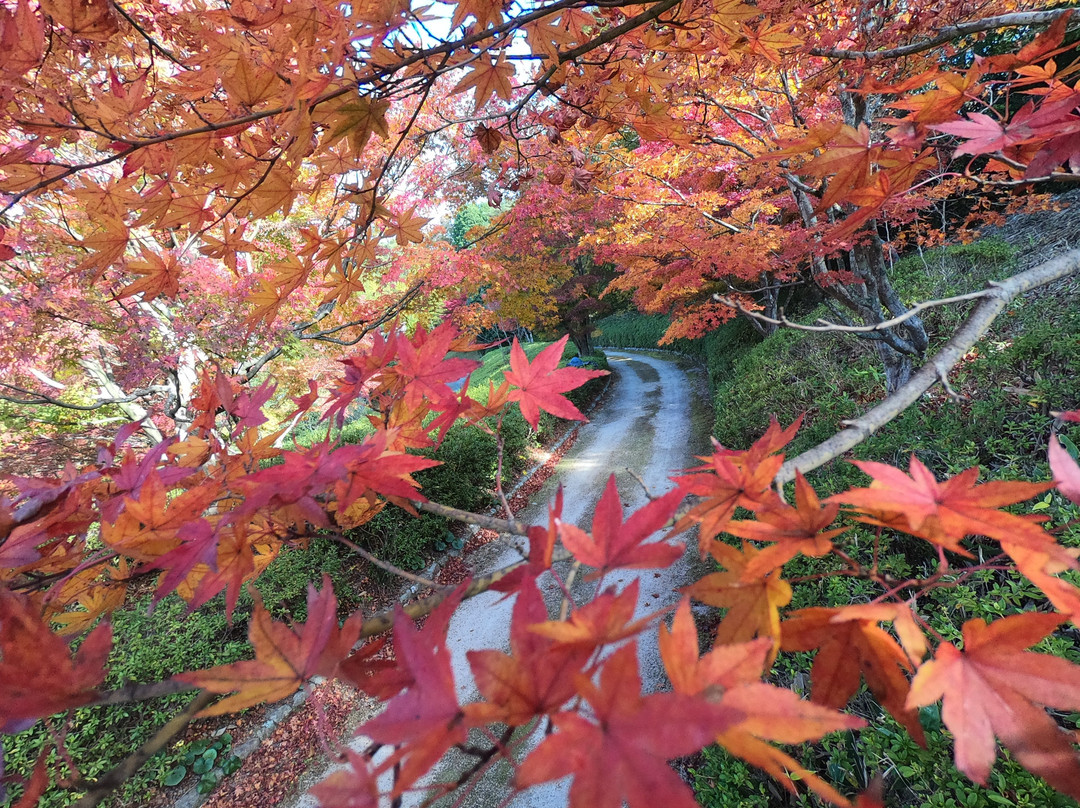 Torin-en-神石高原町必去景点