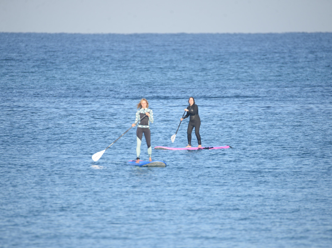 Go Surf TLV-特拉维夫必去景点